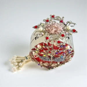 STYLISH CORAL CLUTCH 1